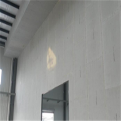 贺兰宁波ALC板|EPS加气板隔墙与混凝土整浇联接的实验研讨